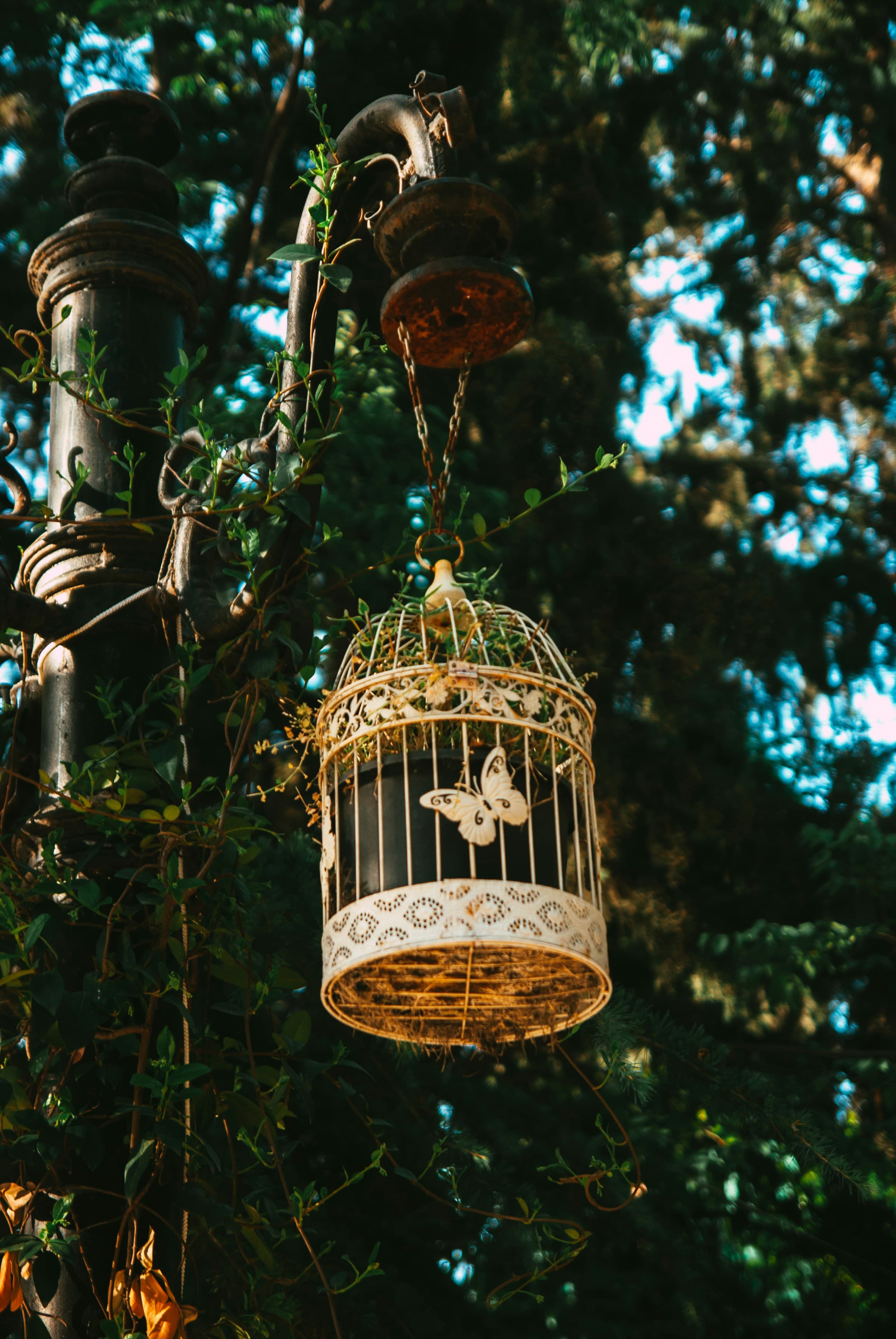 Classic Dome-Top Bird Cage – Elegant & Secure Home for Small Birds