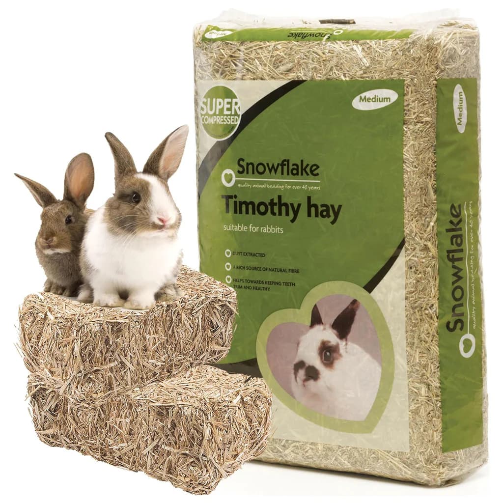 TIMOTHYHAY1