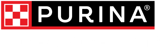 Purnima