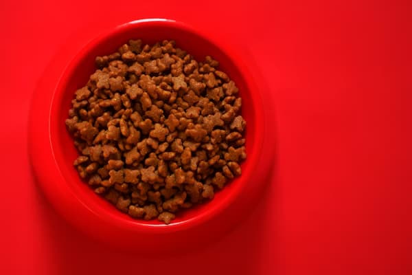 Seafood Platter